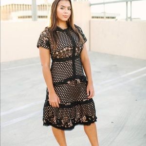 Chantel Lace Dress